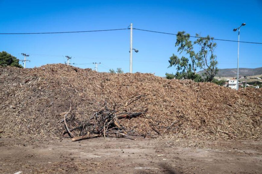 Ακαθάριστα οικόπεδα πρόστιμο: Τι αλλάζει στους ελέγχους και τις δηλώσεις καθαρισμού