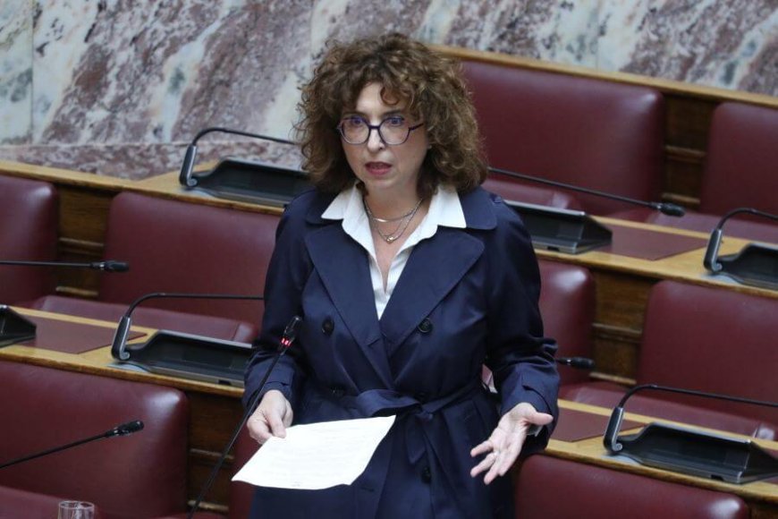 Η Ελένη Καραγεωργοπούλου τοποθετείται μετά την αποχώρησή της από την Πλεύση Ελευθερίας