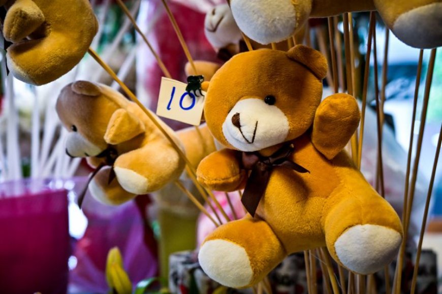 Έκλεψαν λούτρινα αρκουδάκια:  Μία… ερωτική αρπαγή από ανθοπωλείο για τη γιορτή του Αγίου Βαλεντίνου