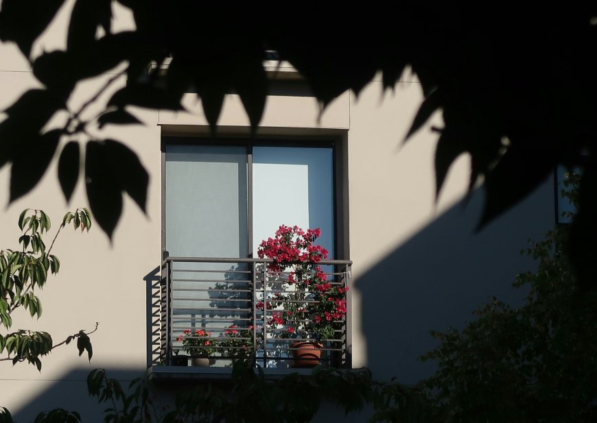 Άρειος Πάγος Νόμος Κατσέλη: Οι επιπτώσεις για πολίτες