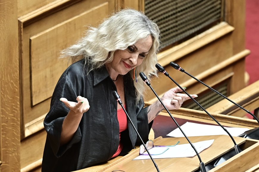 Η Κεφαλά για όσα κατήγγειλε η κουνιάδα της: Η Πλεύση είναι εδώ -Για γέλια και για κλάματα αυτά που κάνετε