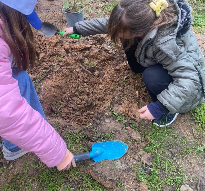 Δήμος Αθηναίων: Ενισχύει το Άλσος Ιλισίων με 500 νέα δέντρα