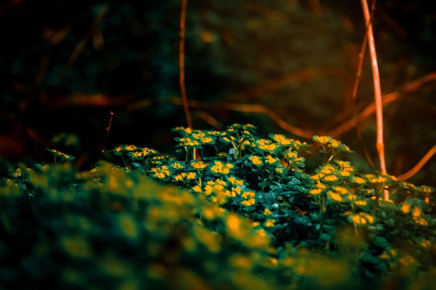 Δήμος Μοσχάτου – Ταύρου: Ανακύκλωση, πράσινα έργα και βιώσιμη ανάπτυξη στη Verde-tec