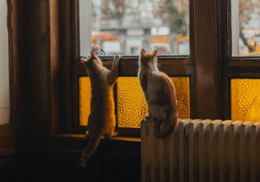 Επίδομα θέρμανσης πληρωμή: Πότε θα καταβληθεί η δεύτερη δόση ανά καύσιμο