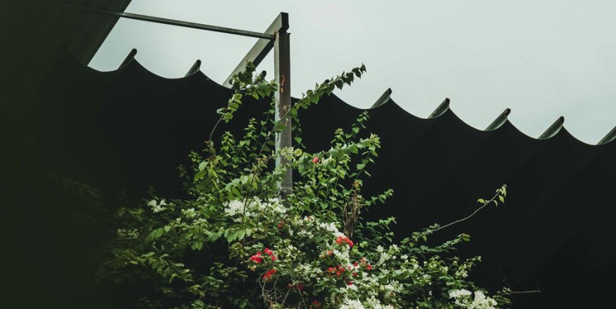 Λέρος πατροκτονία: Βίντεο ντοκουμέντο από καβγά – Ο 50χρονος χτυπά τον ανήλικο