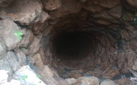 Σκύλος έπεσε σε πηγάδι: Τον έψαχναν 10 μέρες οι κηδεμόνες του