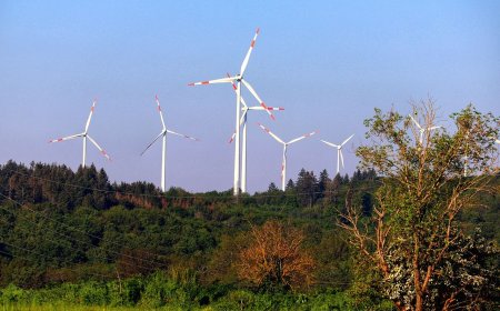 Βιώσιμη ανάπτυξη στον Πειραιά: Ο Μώραλης επισκέφθηκε την έκθεση Verde.Tec