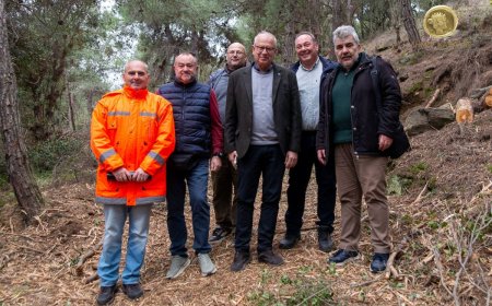 Καβάλα: Εργασίες καθαρισμού δασικής έκτασης στο Παληό