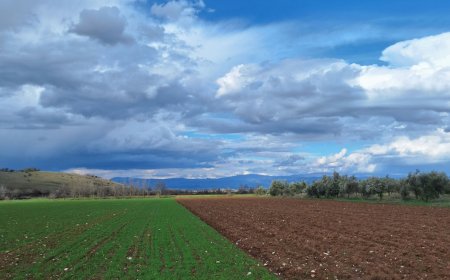Πρωτογενής τομέας: Εργασία, ευθύνη και προοπτική για το αύριο