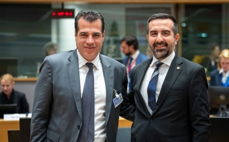 Πλεύρης για μετανάστες από Βρυξέλλες: “Κάποια στιγμή πρέπει να μιλήσουμε ανοιχτά”