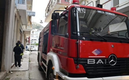 Επτά βουλευτές τις Νέας Αριστεράς υπέβαλαν ερώτηση προς τον υπουργό Κλιματικής Κρίσης και Πολιτικής Προστασίας για τα κενά στις Π.Υ της ΑΜΘ