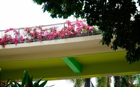 Σεισμός 5,3 Ιωάννινα: Η στιγμή που ο εγκέλαδος “χτυπά” την πόλη