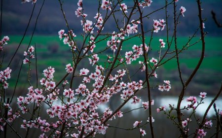 Γη και γυναίκα: Συνεργασία, δύναμη και ο δρόμος προς το μέλλον