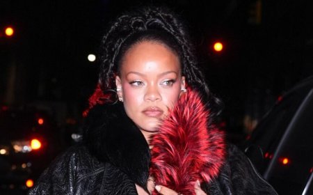 Rihanna: Συνελήφθη γυναίκα που πυροβόλησε το σπίτι της, σφαίρα διαπέρασε τοίχο