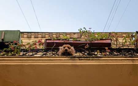 Σε πόσες δόσεις πληρώνεται ο ΕΝΦΙΑ: Έρχονται τα νέα εκκαθαριστικά
