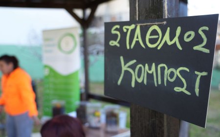 GreCO στον Υμηττό: Παιδική εκπαίδευση για τη φύση, τα φυτά και τη διατήρηση του δάσους