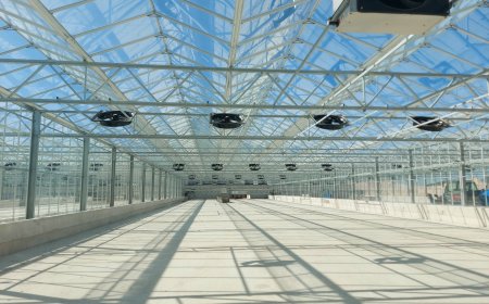 ΔΕΥΑ Καβάλας – Τρικάλων: Καινοτόμες λύσεις στην επεξεργασία λυματολάσπης και υδάτινων υποδομών