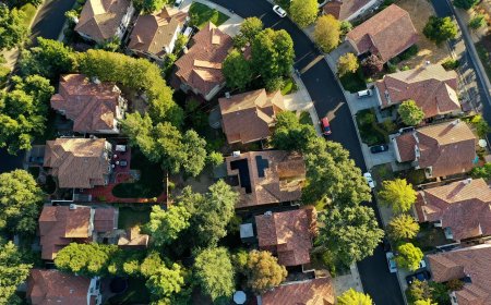 Δήμος Κηφισιάς: Ξεκινά το πρώτο πρόγραμμα πρακτικής άσκησης «Kali Polis Project» για φοιτητές