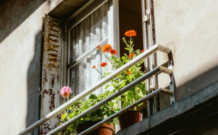 18χρονος έπεσε από μπαλκόνι 3ου ορόφου: Τραγωδία στον Πύργο