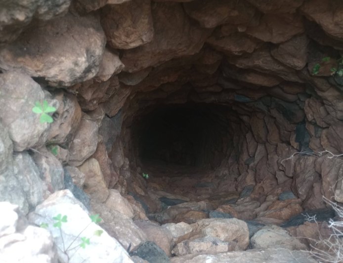 Σκύλος έπεσε σε πηγάδι: Τον έψαχναν 10 μέρες οι κηδεμόνες του