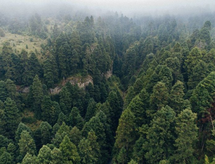 Αντιπυρική περίοδος 2026: Ενίσχυση των Δήμων ζητά η ΚΕΔΕ