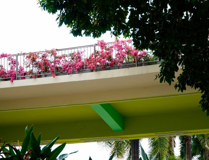 Σεισμός 5,3 Ιωάννινα: Η στιγμή που ο εγκέλαδος “χτυπά” την πόλη