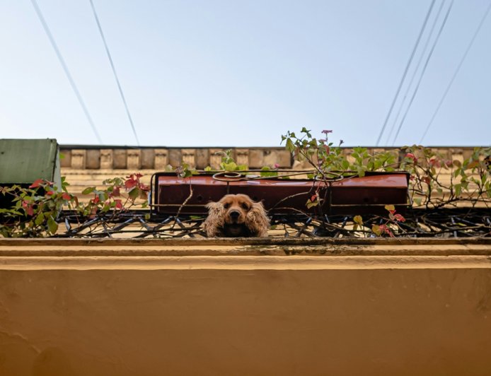 Σε πόσες δόσεις πληρώνεται ο ΕΝΦΙΑ: Έρχονται τα νέα εκκαθαριστικά