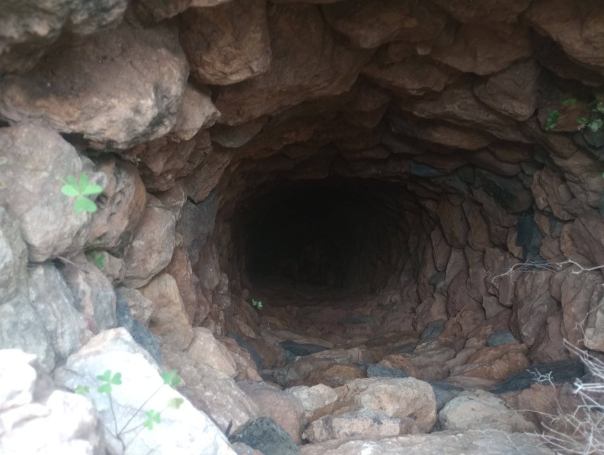 Σκύλος έπεσε σε πηγάδι: Τον έψαχναν 10 μέρες οι κηδεμόνες του