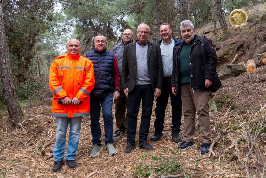 Καβάλα: Εργασίες καθαρισμού δασικής έκτασης στο Παληό