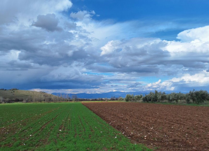 Πρωτογενής τομέας: Εργασία, ευθύνη και προοπτική για το αύριο