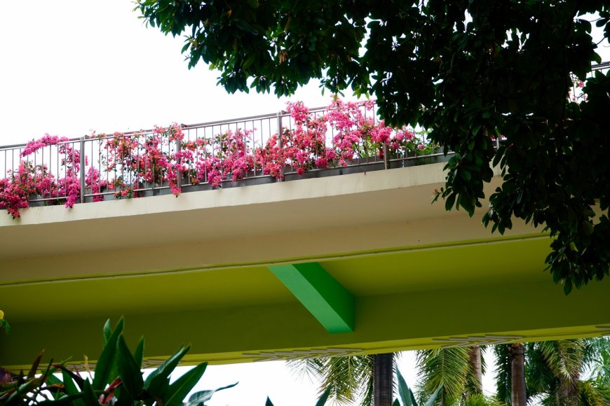 Σεισμός 5,3 Ιωάννινα: Η στιγμή που ο εγκέλαδος “χτυπά” την πόλη