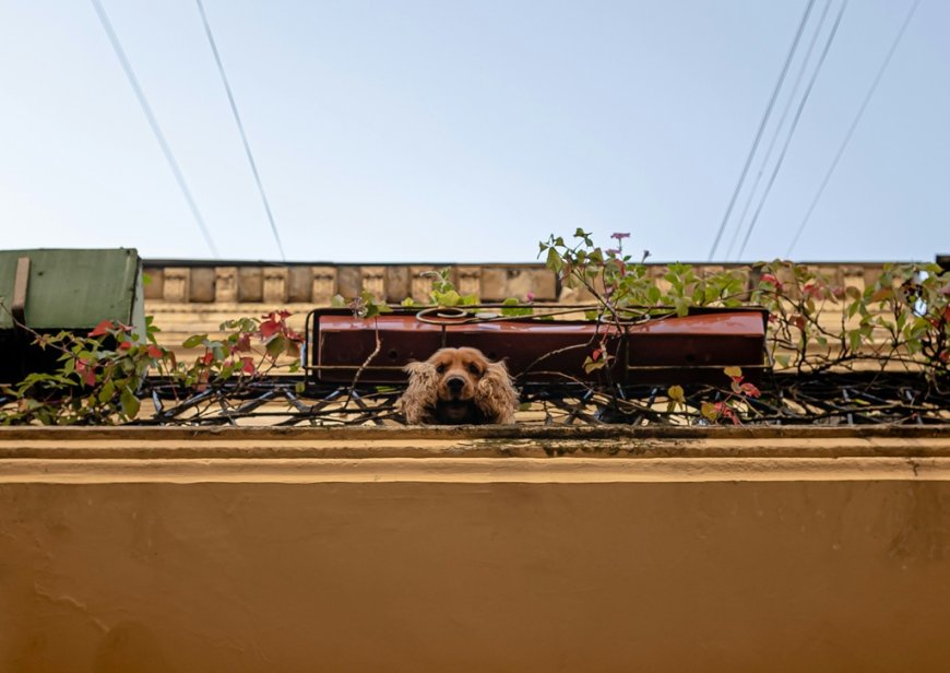 Σε πόσες δόσεις πληρώνεται ο ΕΝΦΙΑ: Έρχονται τα νέα εκκαθαριστικά